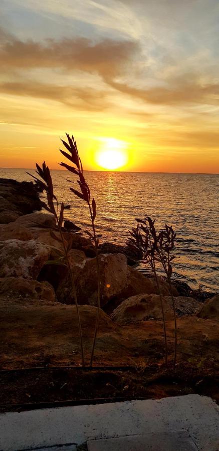 Penny'S Kato Paphos Apartment Dış mekan fotoğraf